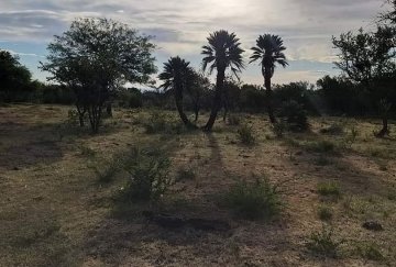 Lote en Venta Villa Larca, San Luis., Merlo - Imagen 6