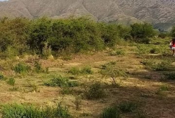 Lote en Venta Villa Larca, San Luis., Merlo - Imagen 10