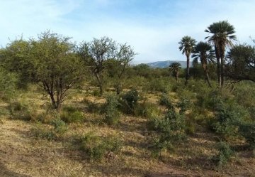 Lote en Venta Villa Larca, San Luis., Merlo - Imagen 8