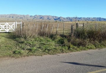 Campo disponible en San Luis · 4 ha - Imagen 1