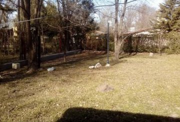 Casa en Venta en Villa General Belgrano · dueño directo · 2 dorm · cochera · 525 m² de lote - Imagen 5