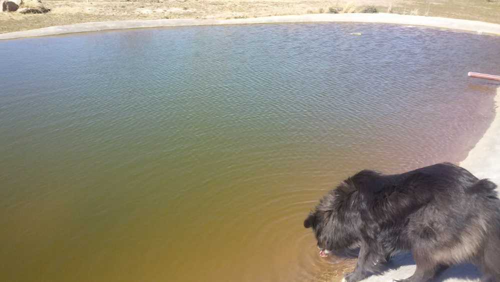 Terreno  Lujan de Cuyo - Imagen