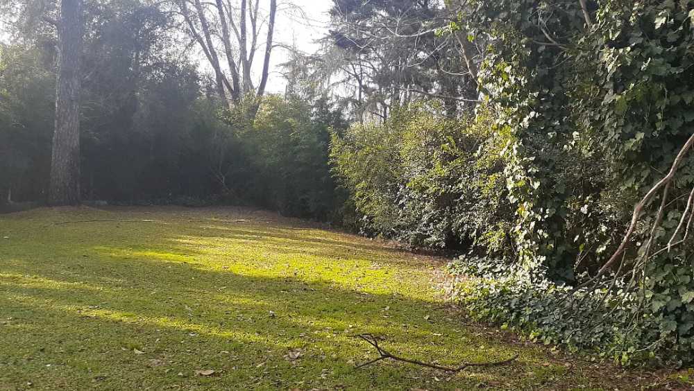 Oportunidad: Casa en Venta en Ingeniero Maschwitz · dueño directo · 3 dorm · 1.590 ha - Imagen 4