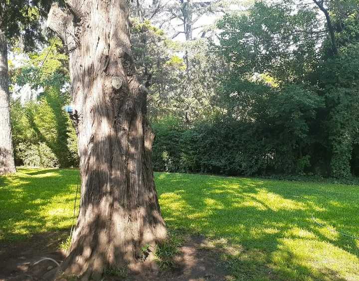 Oportunidad: Casa en Venta en Ingeniero Maschwitz · dueño directo · 3 dorm · 1.590 ha - Imagen 5