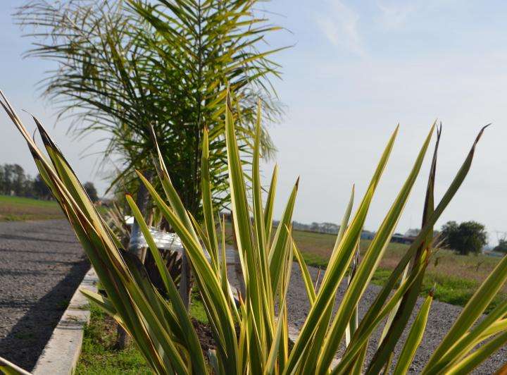 Campo  Canuelas - Imagen