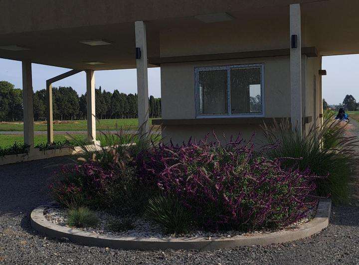 Campo  Canuelas - Imagen