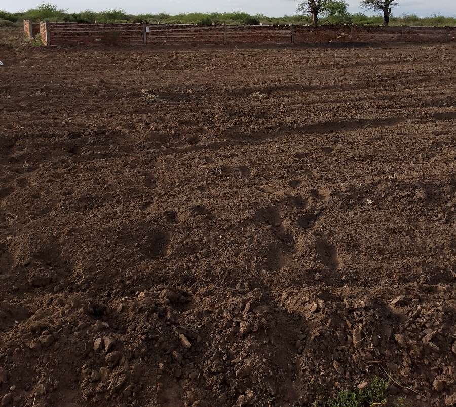 Comprar Campo en Anatuya · dueño directo · 50 ha - Imagen 2