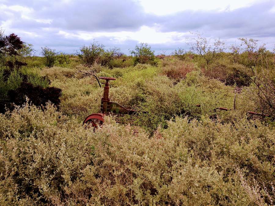 Comprar Campo en Anatuya · dueño directo · 50 ha - Imagen 3