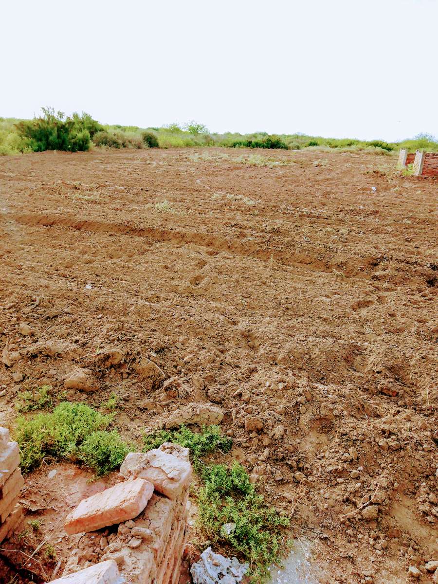 Comprar Campo en Anatuya · dueño directo · 50 ha - Imagen 4