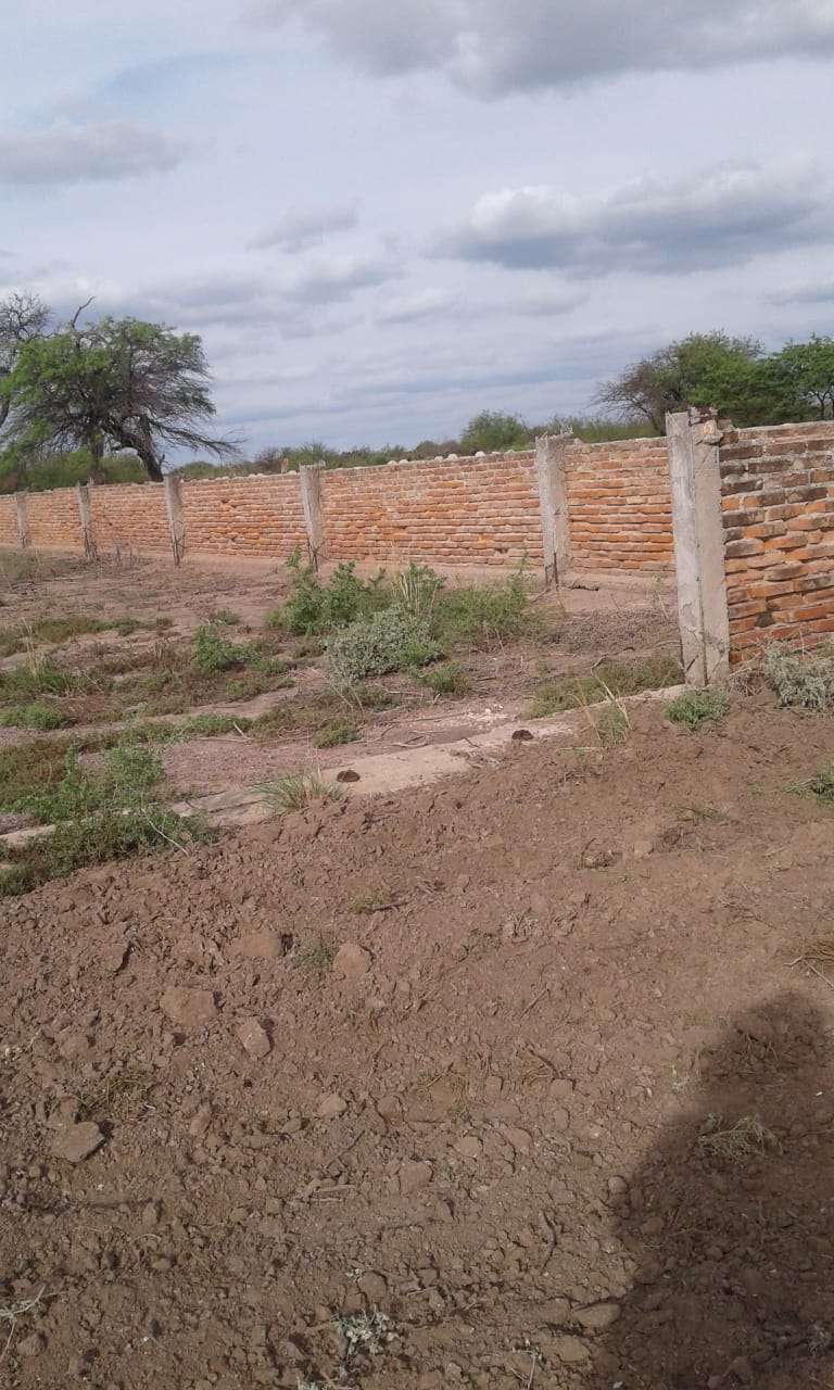 Campo  Anatuya - Imagen