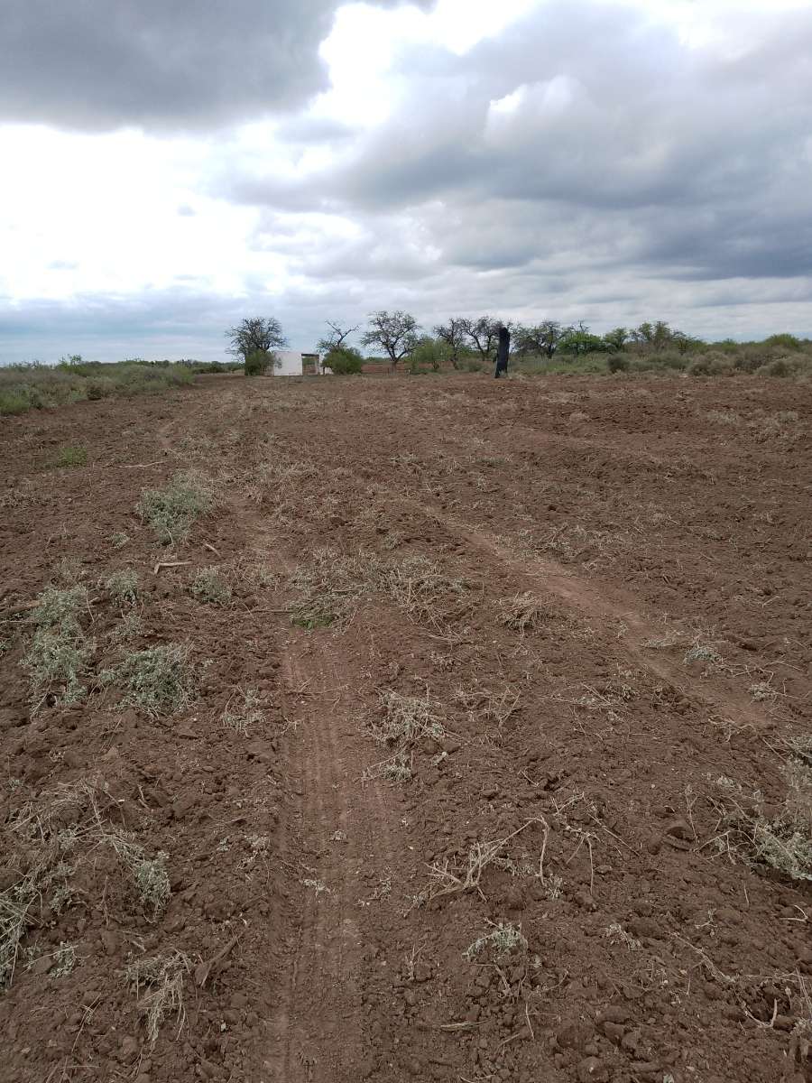 Campo  Anatuya - Imagen