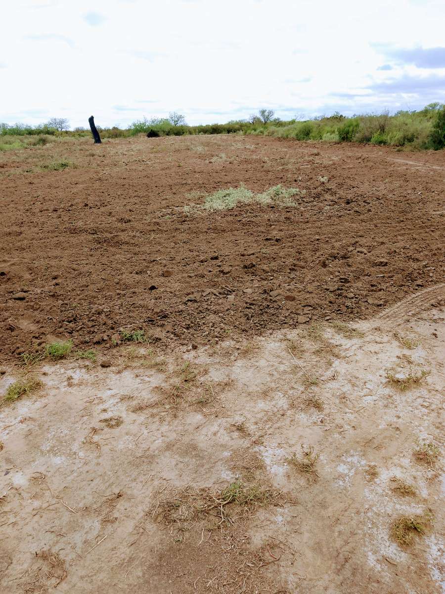 Campo  Anatuya - Imagen