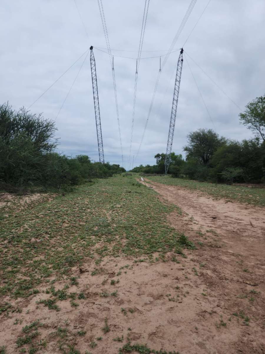 Comprar Campo en Santiago del Estero · dueño directo · 920 ha - Imagen 3