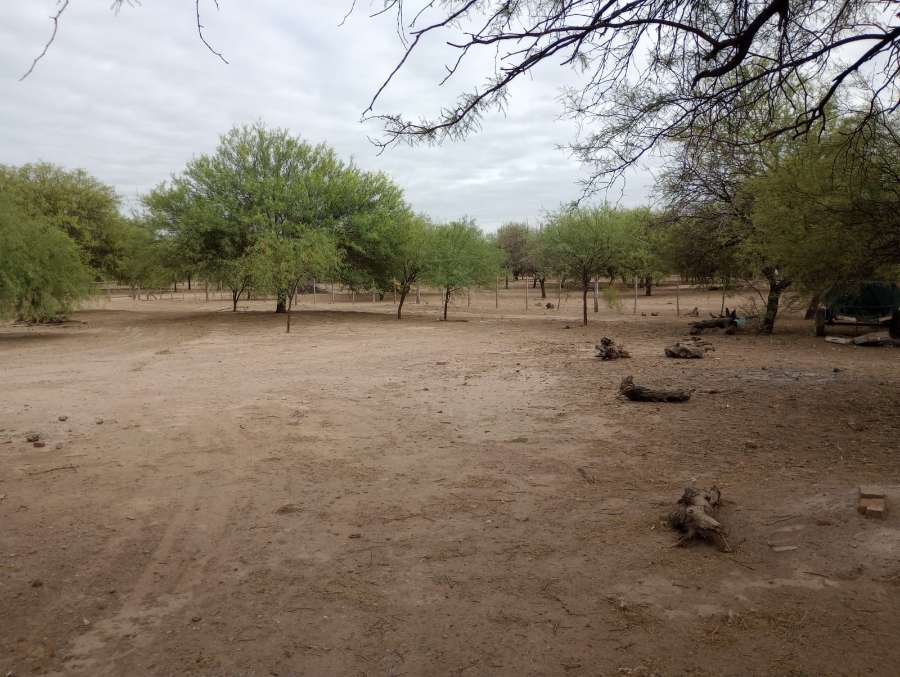 Tu próximo Campo en Venta en Cruz del Eje · dueño directo · 1.200 ha - Imagen 5