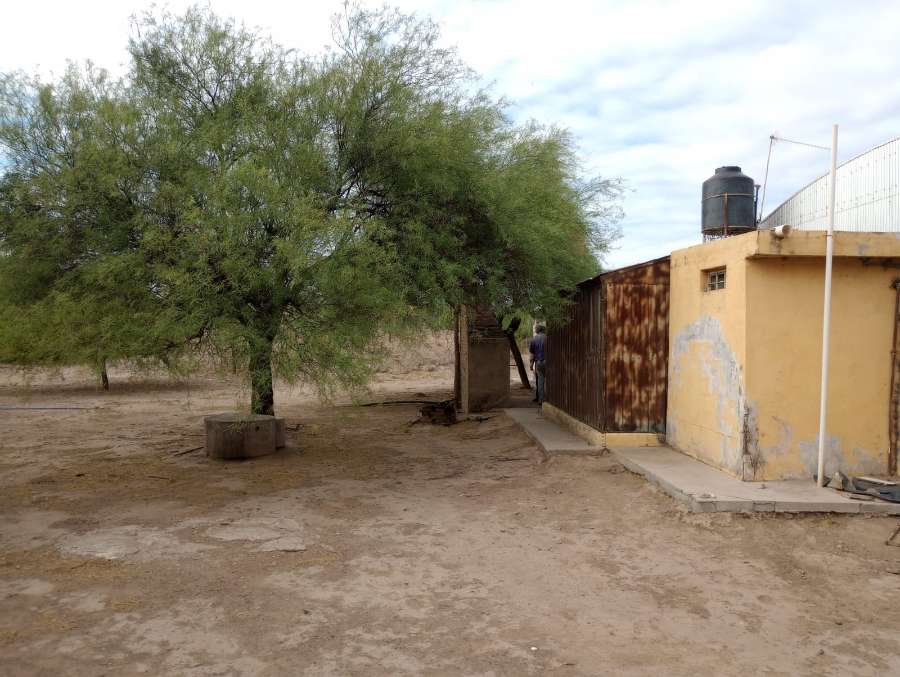 Campo  Cruz del Eje - Imagen