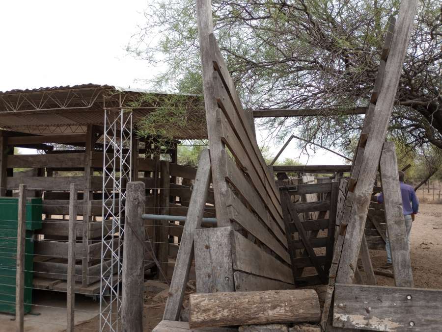 Campo  Cruz del Eje - Imagen