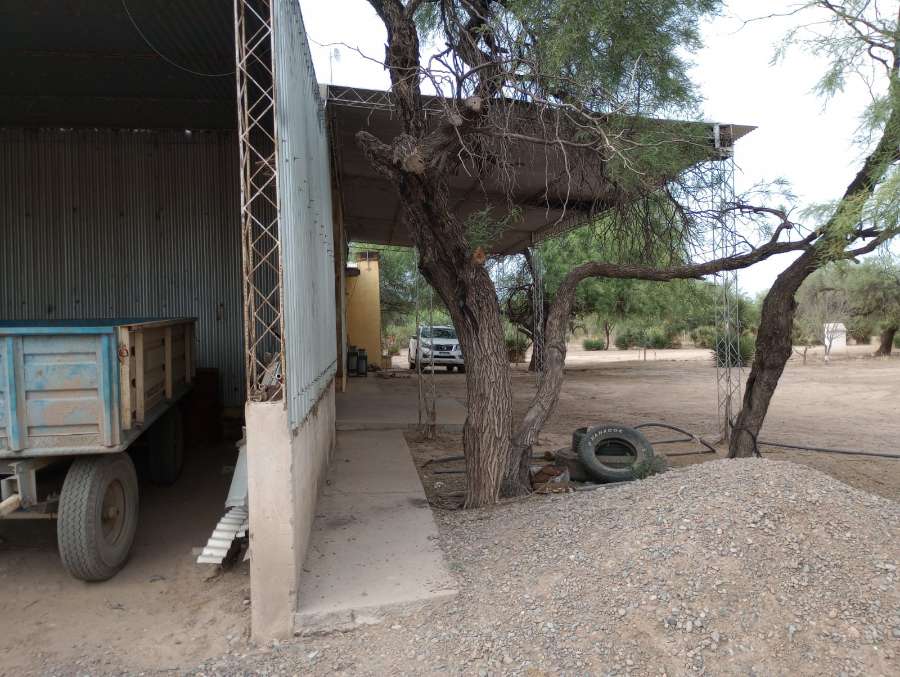 Campo  Cruz del Eje - Imagen
