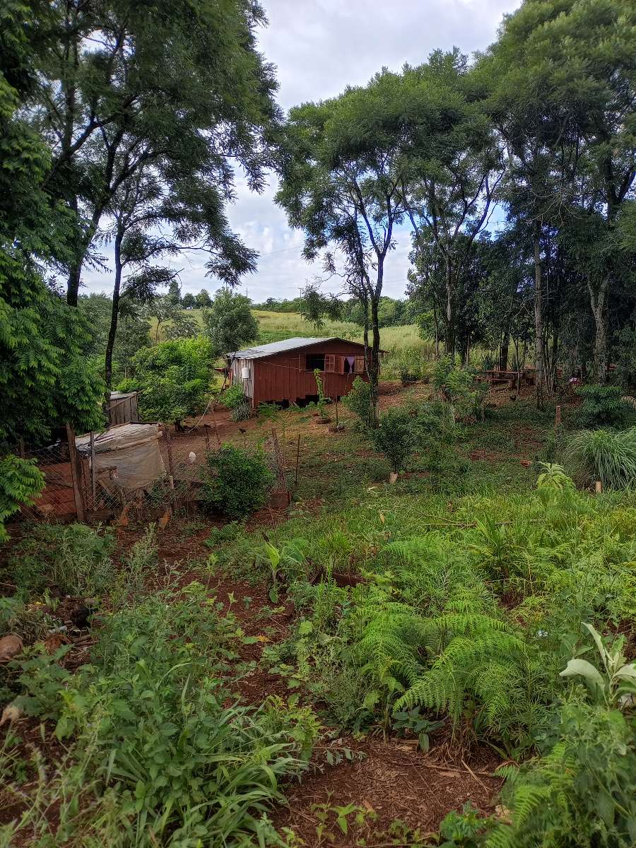 Campo en Venta en El Soberbio con · dueño directo · 8 ha - Imagen 2