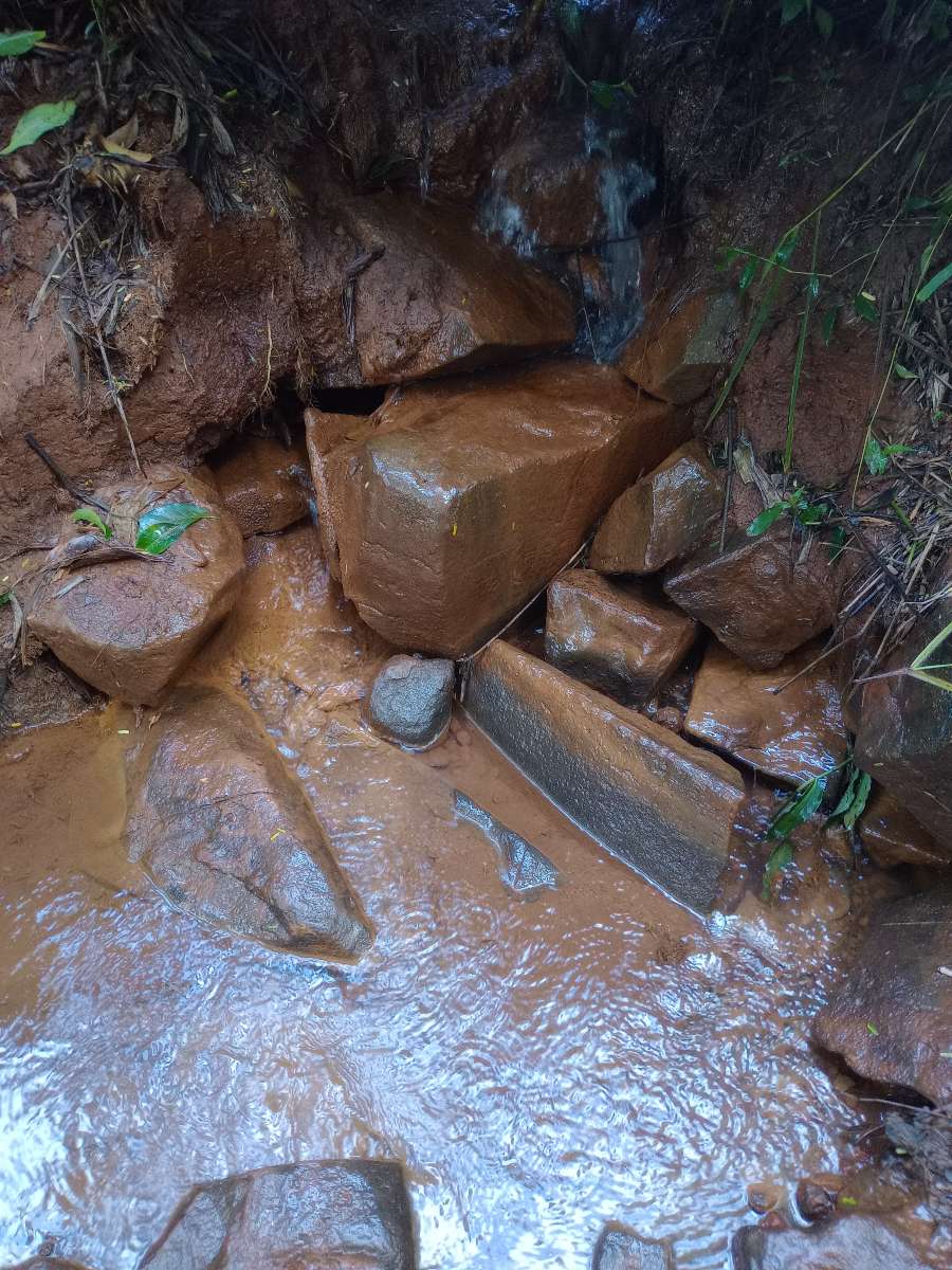 Campo  El Soberbio - Imagen