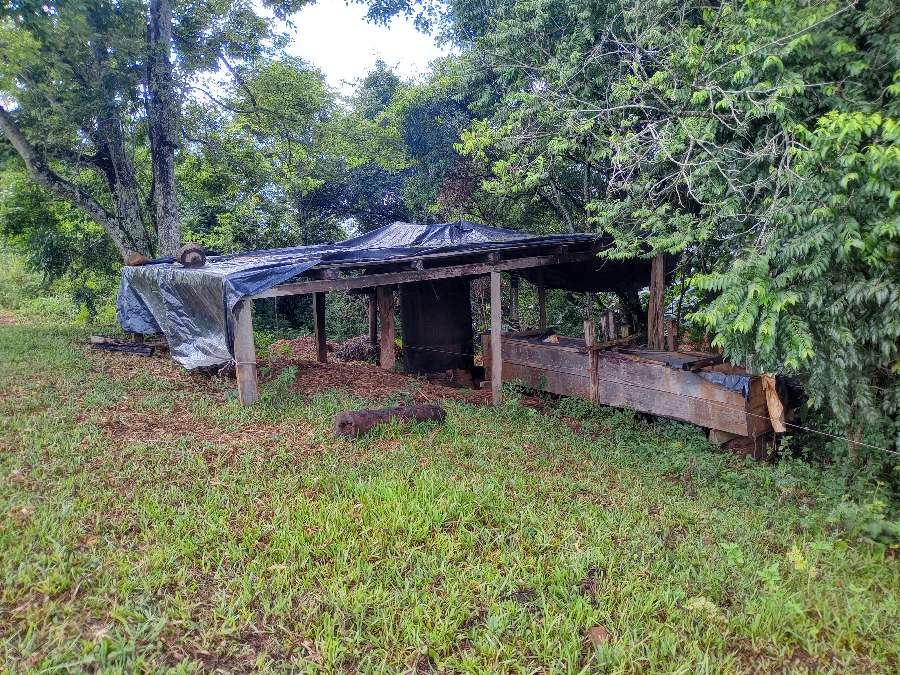 Campo  El Soberbio - Imagen