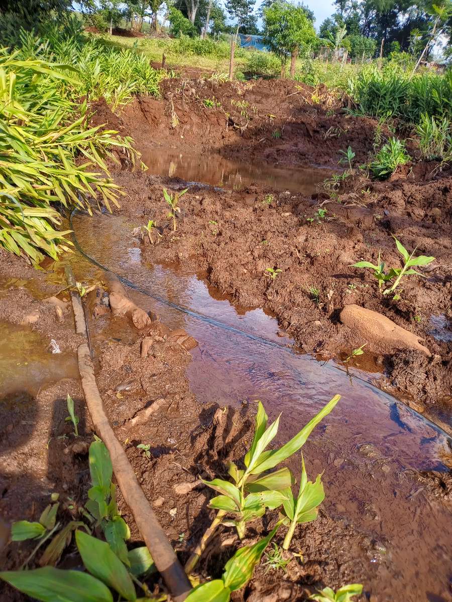 Campo  El Soberbio - Imagen