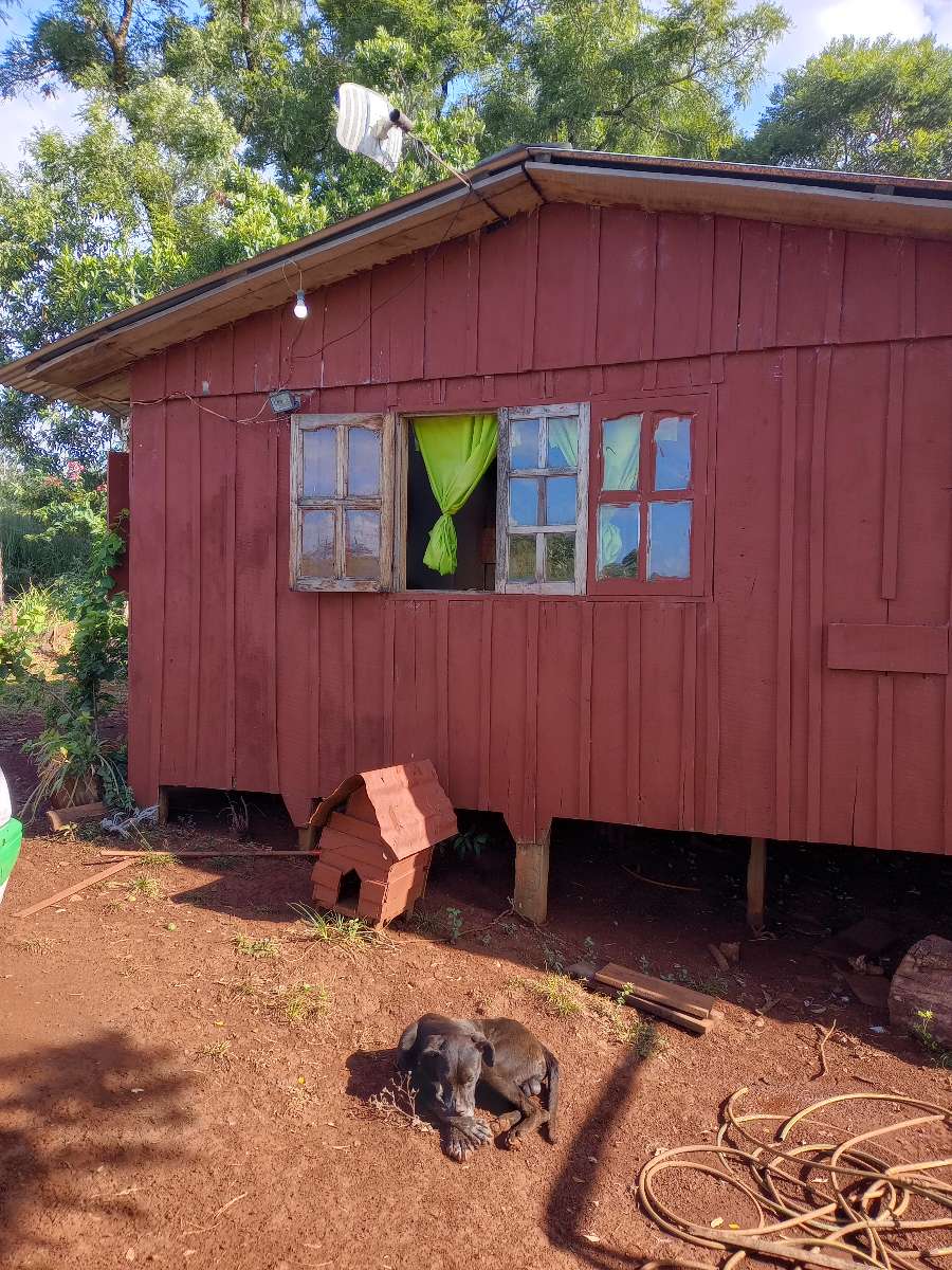 Campo  El Soberbio - Imagen