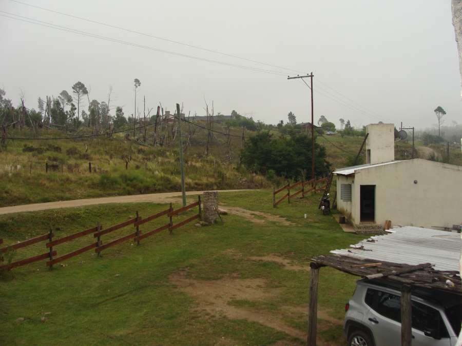 Campo  Santa Rosa de Calamuchita - Imagen