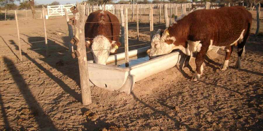 Campo  San Luis - Imagen