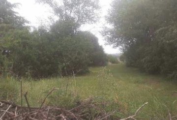 Lote en Venta 5176, Villa Giardino - Imagen 3