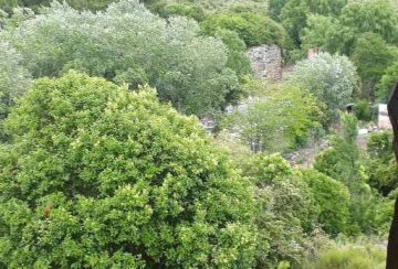 Lote en Venta Ceibo 210, Villa Giardino - Imagen 3