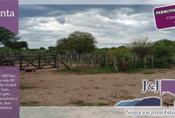 Campo en San Luis para en Venta · 1.063 ha - Imagen 5