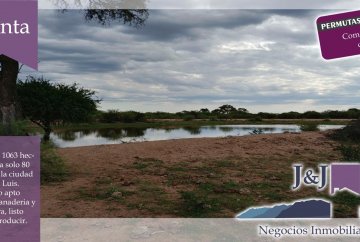 Campo en San Luis para en Venta · 1.063 ha - Imagen 4