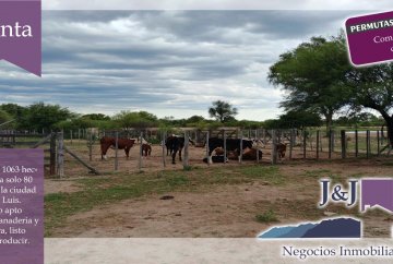 Campo en San Luis para en Venta · 1.063 ha - Imagen 3