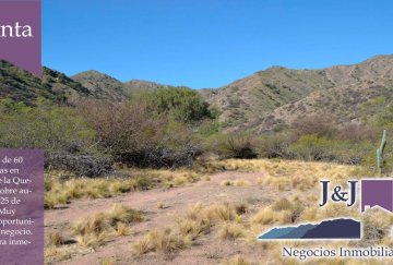 Campo en Venta en San Luis, · 60 ha - Imagen 2