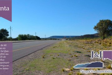 Campo en Venta en San Luis, · 60 ha - Imagen 4