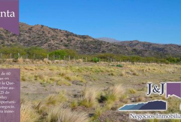 Campo en Venta en San Luis, · 60 ha - Imagen 3