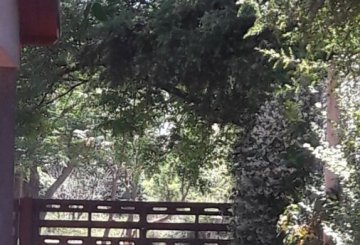 Casa en Venta en Santa Maria, · dueño directo · 3 dorm · 5 cocheras · 1.000 m² de lote - Imagen 2