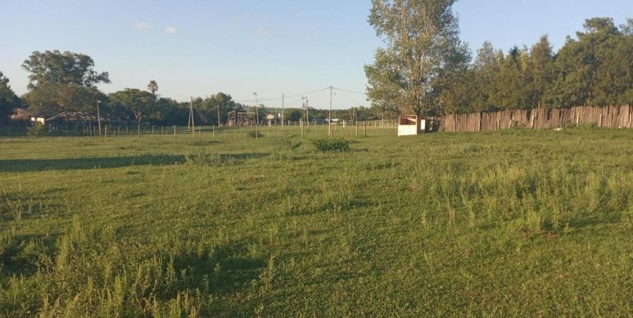 Terreno  Victoria - Imagen