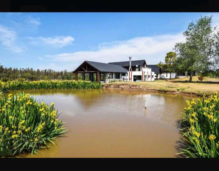 Terreno  Oliveros - Imagen