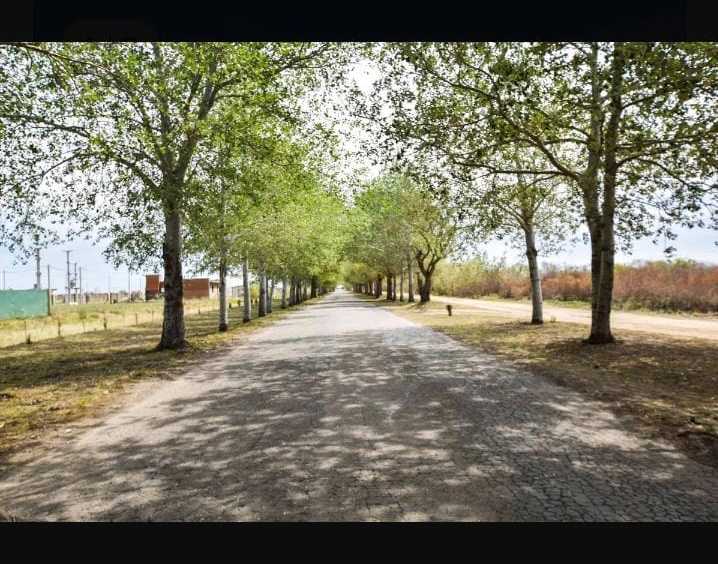 Terreno  Oliveros - Imagen