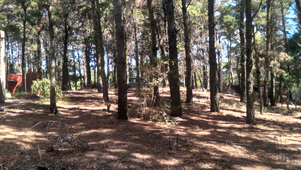 Terreno en Venta en Villa Gesell · frente 15 m · largo 40 m · 600 m² de lote · dueño directo - Imagen 2