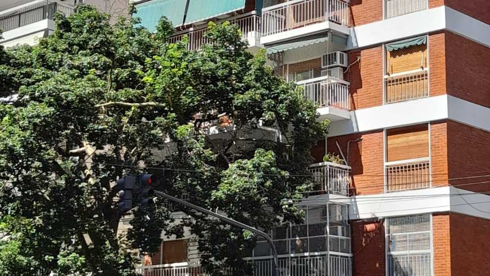 Alquiler temporario amb  con balcon corrido al fte  - Belgrano - Imagen 1