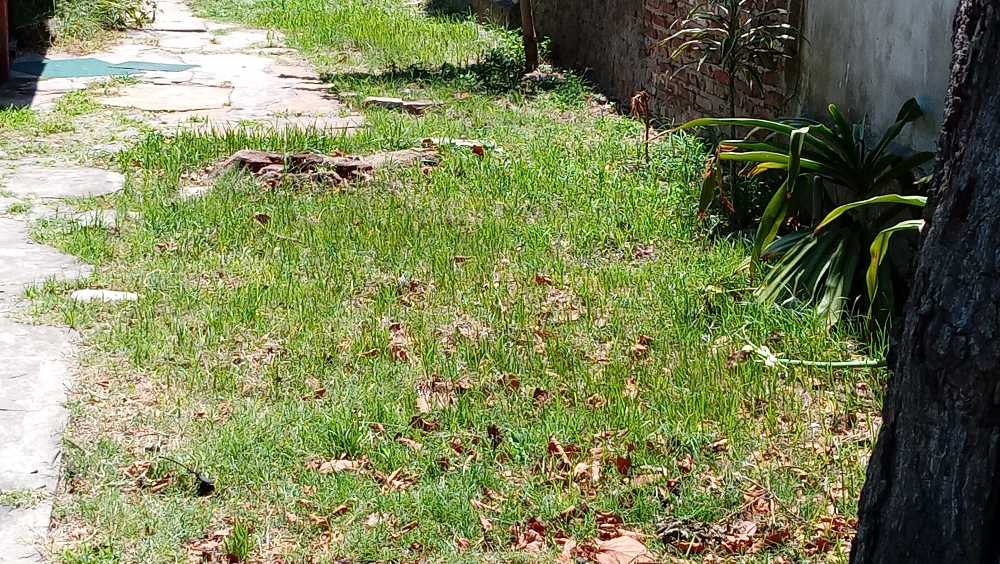 Fracción en Venta Uruguay 1648, Beccar - Imagen 6