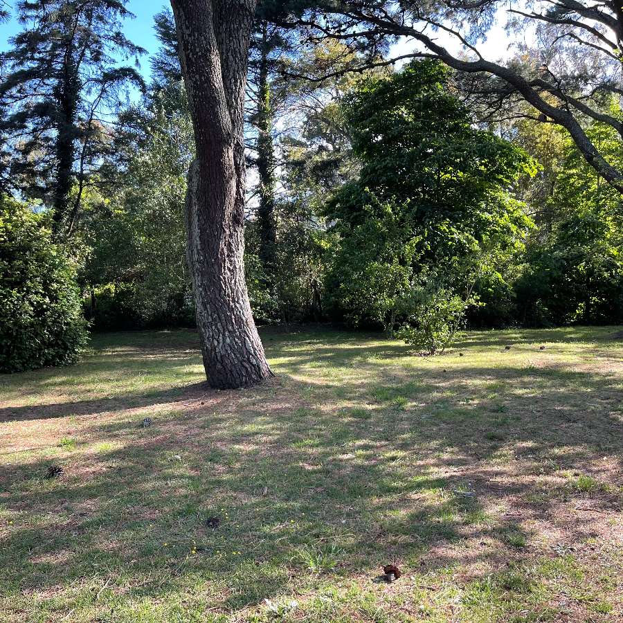 Terreno en Venta en Sierra de los Padres, · frente 3.370 m · 712 m² de lote - Imagen 2