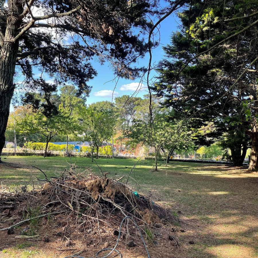 Terreno en Venta en Sierra de los Padres, · frente 3.370 m · 712 m² de lote - Imagen 3