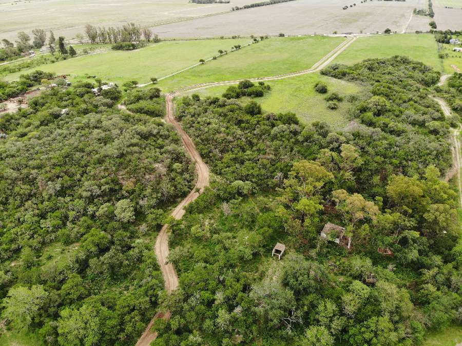 Terreno  Almafuerte - Imagen