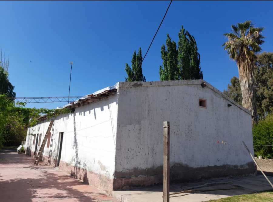 Campo  Rodeo de la Cruz - Imagen