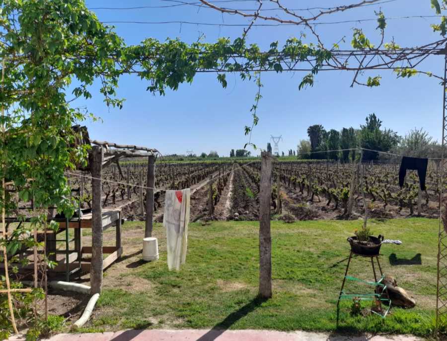 Campo  Rodeo de la Cruz - Imagen