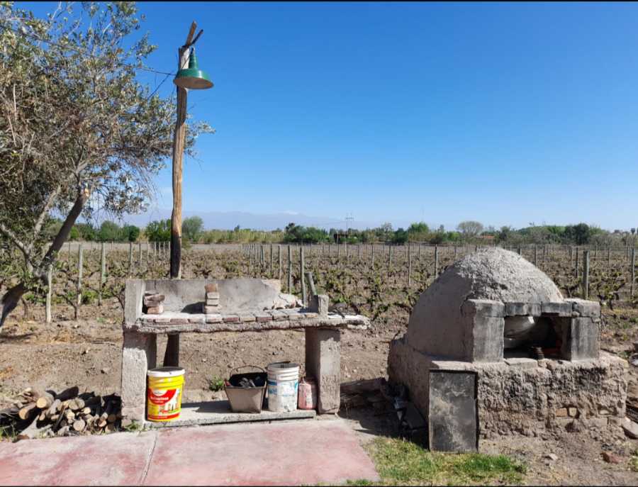 Campo en Venta en Rodeo de la Cruz, · dueño directo · 4 ha - Imagen 1