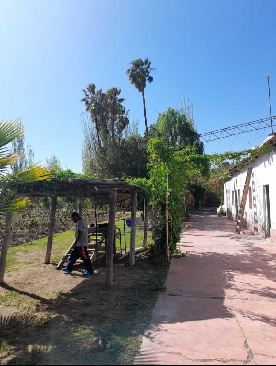 Campo  Rodeo de la Cruz - Imagen